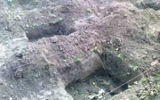 Подготовка ямы для посадки винограда