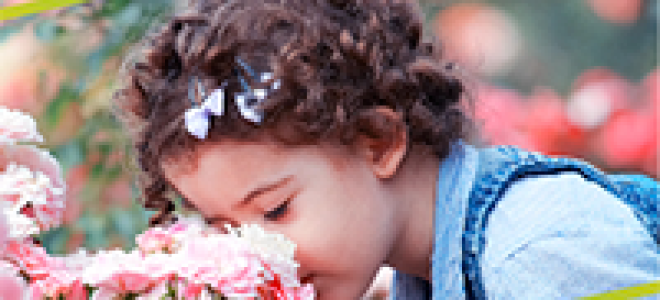 Интенсивные грядки розума посадка и уход