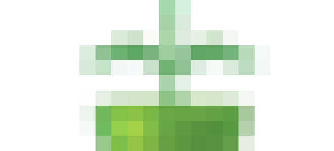 Мелисса лимонная посадка и уход