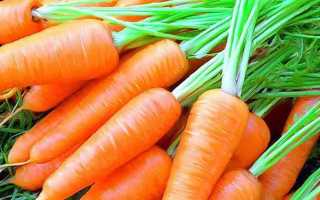Способы посадки моркови без прореживания