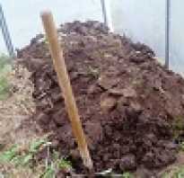 Медный купорос для обработки почвы в теплице