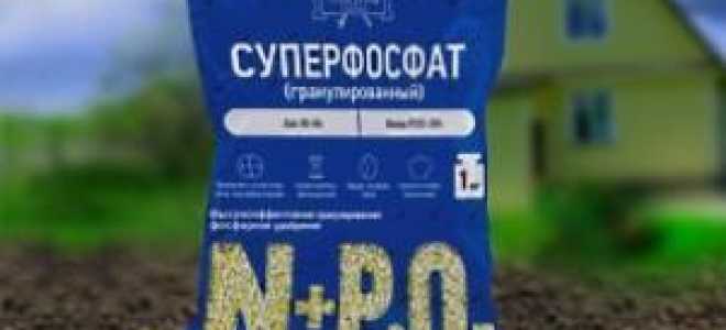 Внесение суперфосфата осенью