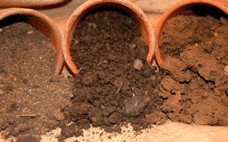 Почва для комнатной герани