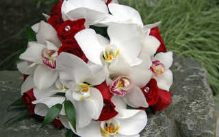 Букет невесты орхидеи
