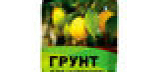 Грунт для цитрусовых