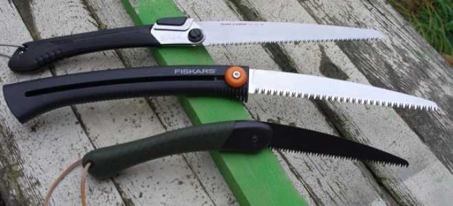 Когда лучше обрезать черешню осенью или весной