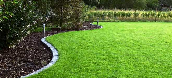 Посадка газона осенью своими руками