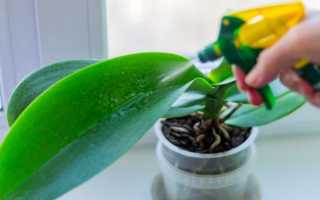 Циркон для орхидей как применять