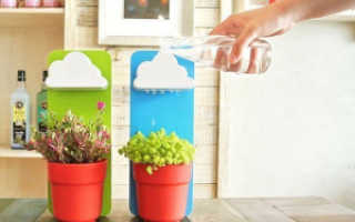 Автоматическая поливалка для комнатных цветов