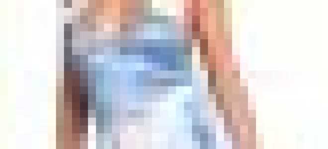 Крокусы посадка и уход дома