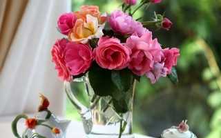 Как надолго сохранить срезанные розы в вазе