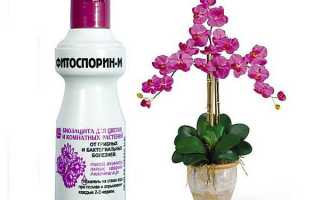 Фитоспорин для орхидей секреты спасения