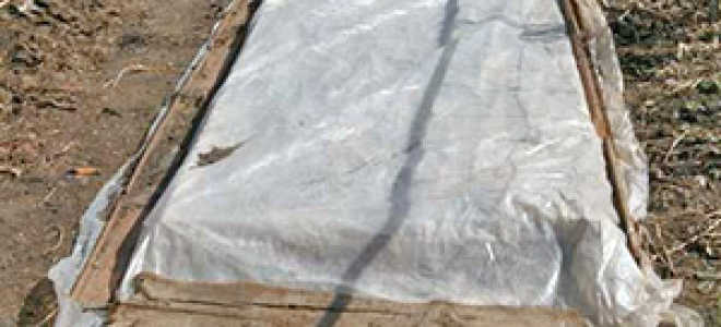 Подготовка грядки под огурцы осенью