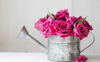 Как оживить розы в вазе с водой