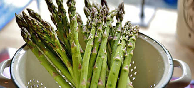 Спаржа уход осенью