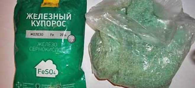 Обработка смородины железным купоросом осенью