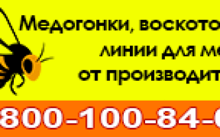 Зимовка пчел на улице в подмосковье