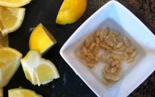 Как посадить лимон из косточки