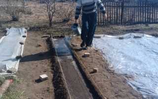 Выращивание редиса в теплице зимой на продажу