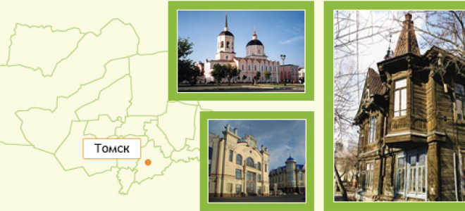 Как правильно сажать чеснок осенью