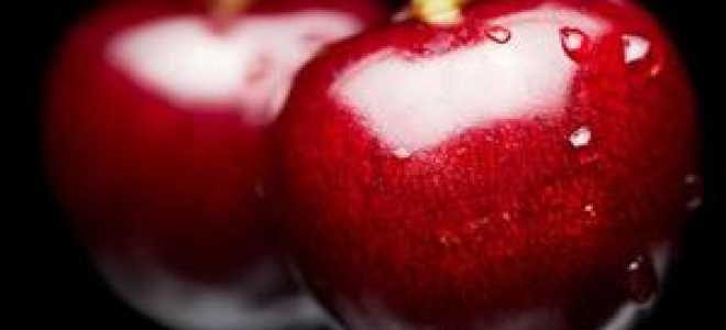 На какой год плодоносит черешня после посадки