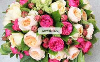 Букет из роз пионовидных