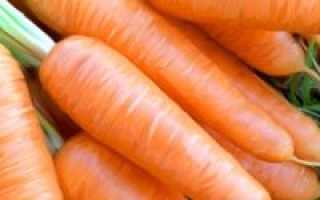 Посев моркови осенью