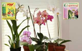 Циркон для орхидей